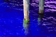 blue sea