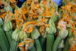 fiori di zucca