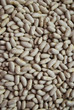 fagioli