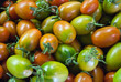 pomodori