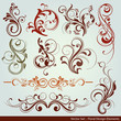 floral design elements
