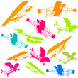 Glider