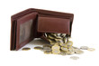 Wallet with coins