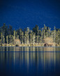 Trees reflect in the still water of Lake Brunner, NZ.