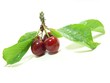 cerise 2