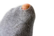 Optimistische Socke Optimistische Socke