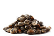 vongole veraci