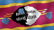 Swaziland - waving flag detail