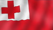 Tonga - waving flag detail
