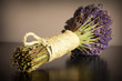 Dried lavander