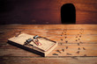 photo of activated mousetrap outside mouse house photo of activated mousetrap outside mouse house