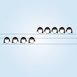 illustration of cartoon swallows on electrical lines illustration of cartoon swallows on electrical lines