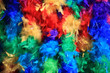 Rainbow Feathers