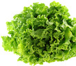 salade, fond blanc