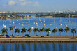 Miami day,Florida