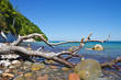 An der Ostseeküste auf Rügen