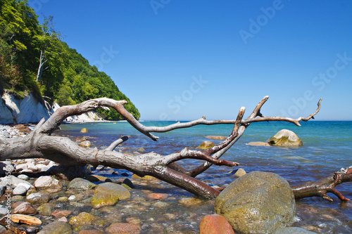 Photo: An der Ostseeküste auf Rügen An der Ostseeküste auf Rügen