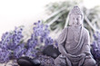Photo en ligne au meilleur prix Buddha und Lavendel mit Massage Steinen