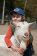 Boy hugging a goat Boy hugging a goat