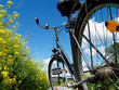 Fahrrad