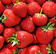 strawberries, strawberry strawberries, strawberry