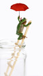 wetterfrosch