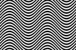 Vector: zebra zebra
