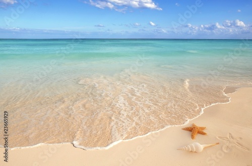 Foto: sea shells starfish tropical sand turquoise caribbean sea shells starfish tropical sand turquoise caribbean