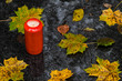 Grablicht zu Allerheiligen im Herbst mit Blättern