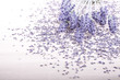 Photo en ligne au meilleur prix Lavendel und Bl�ten