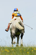 Three Day Eventing