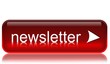 newsletter button