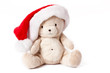 teddy bear and xmas cap