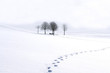 Winterimpression