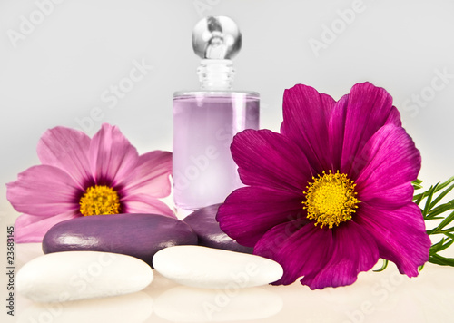 Foto: Wellness Wellness