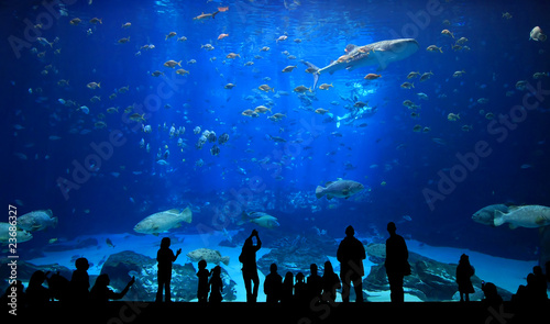 Large Aquarium - People Silhouettes Large Aquarium - People Silhouettes
