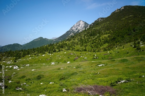 Photo: Alpine landscape with green grass Alpine landscape with green grass