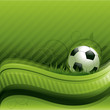 Green soccer background Green soccer background