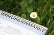 Immobilienmarkt X