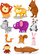 wild animals set