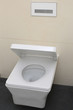 modernes wc design