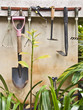 Outils de jardin sur un mur Outils de jardin sur un mur