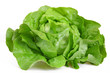 grüner kopfsalat