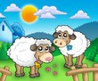 Two cute sheep behind fence