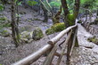 Mountain Stream in the Valley of the butterflies of Rhodes.