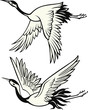 crane illustration