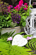 Blumendekoration auf Terrasse