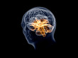Brain Xray Isometric rear
