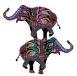 circus elephants