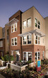 Contemporary Row Houses